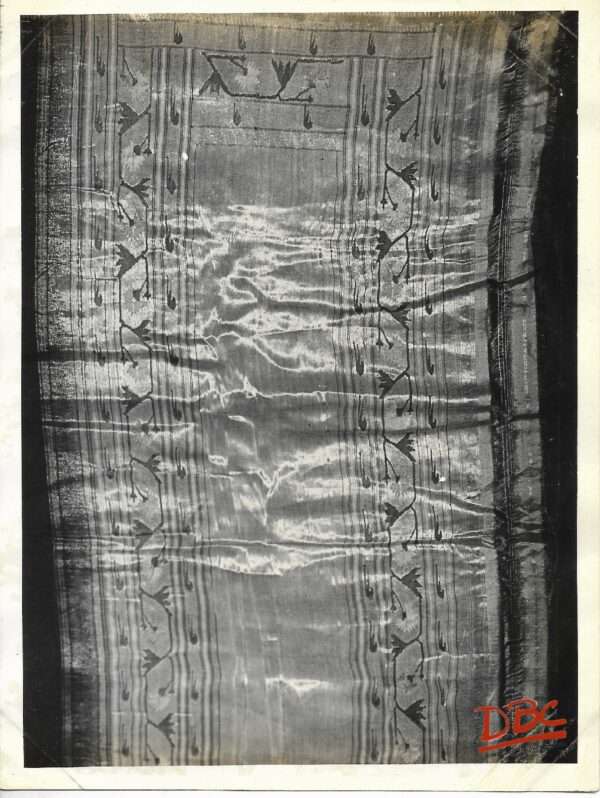 Tex (Cotton Sari)