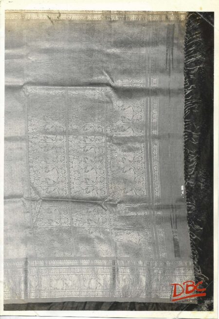 Tex (Golden Work Sari)