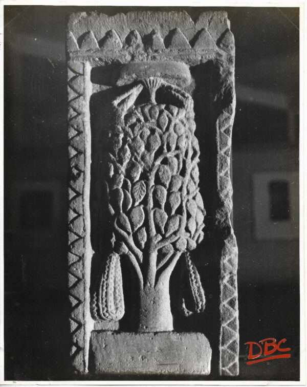 Sanchi Museum - The Bodhu Tree 2nd Century B.C.