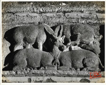 Ajanta Cave No. 1 Four Deer Wih One Head