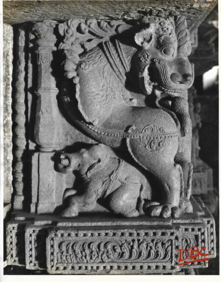 Konark - Lion Supprt From the Stone Platform