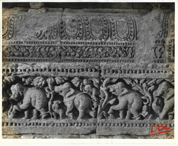 Konark - Rows of Elephants from a Plinth