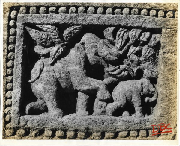 Konark - Two Elephant