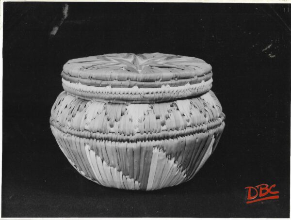 Grass Basket Coloured