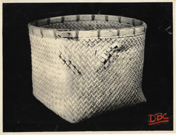 Cane Old Box