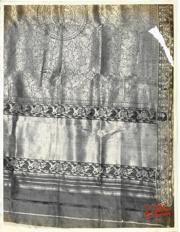 Chanderi Silk Sari