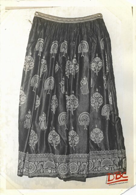 Skirt Embroidered