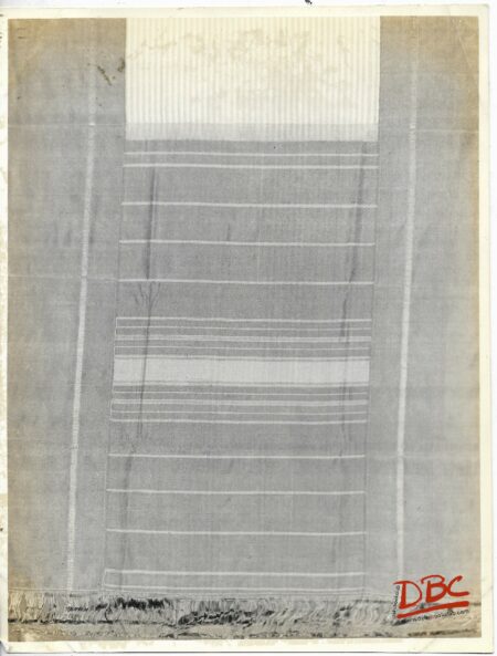 Kanchipuram Sari